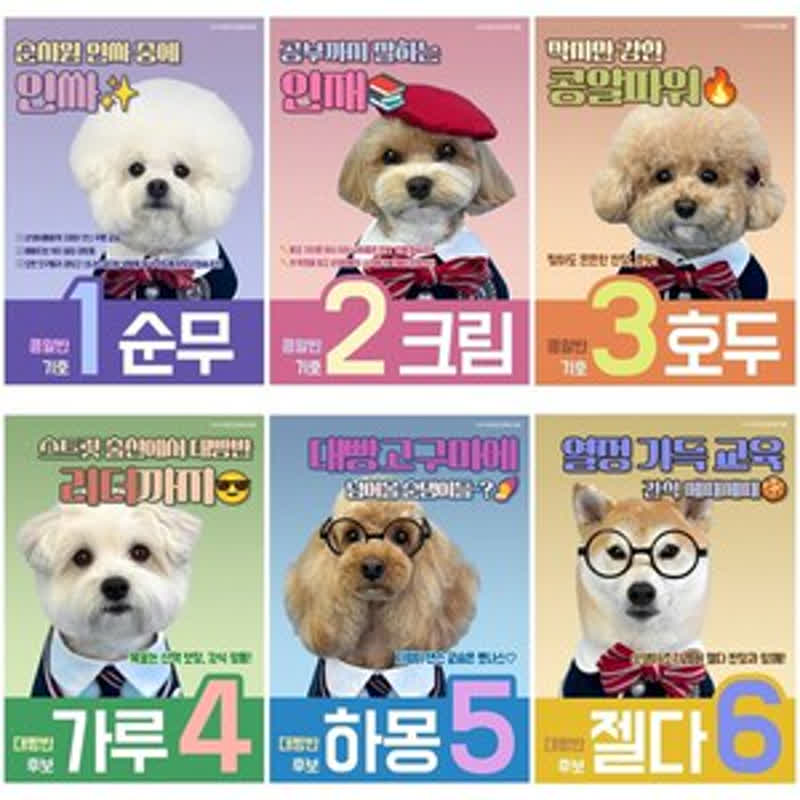 AIポスターまで作成？韓国の愛犬幼稚園で巻き起こる「班長選挙」の熱狂とは