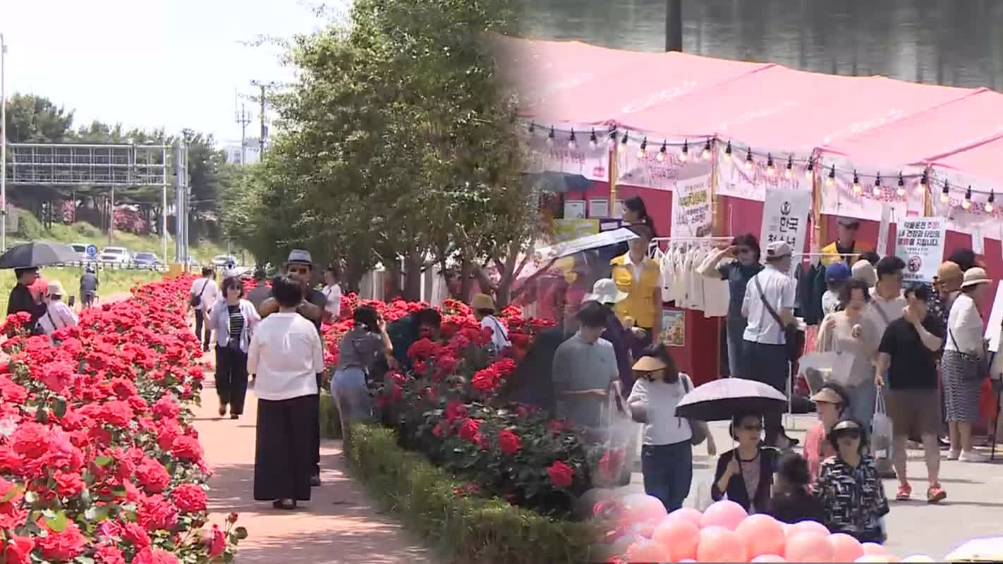 「花様年華」テーマの中バラ祭り、盛況のうちに開催中
