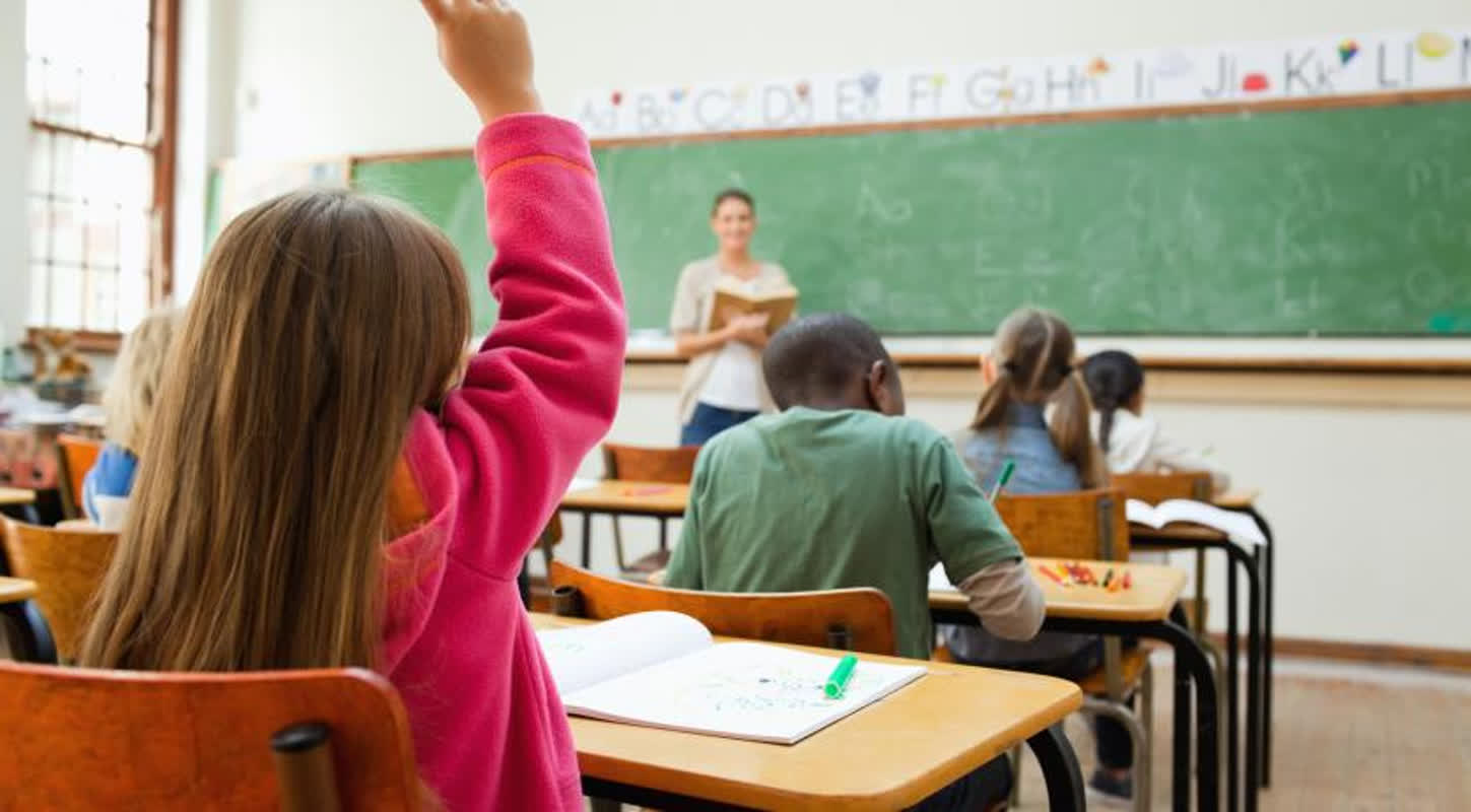 102 Dutch Children Forced Out of Homeschooling After Supreme Court Ruling