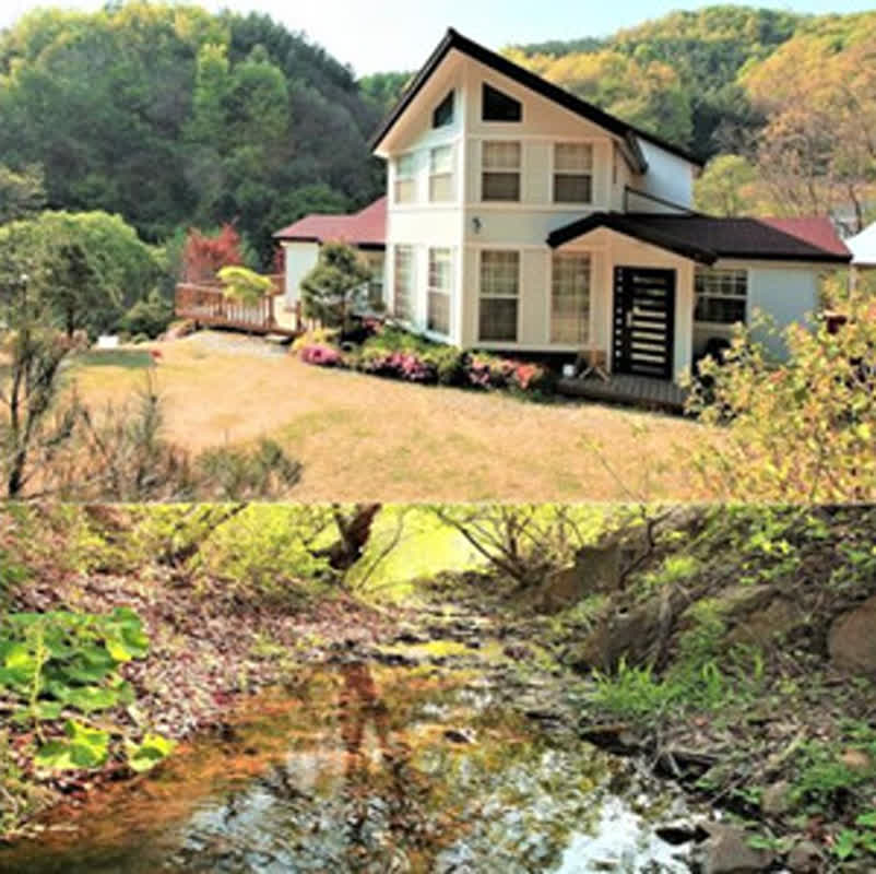 自然に囲まれた楽園、山母の丘ペンションが特別割引を実施