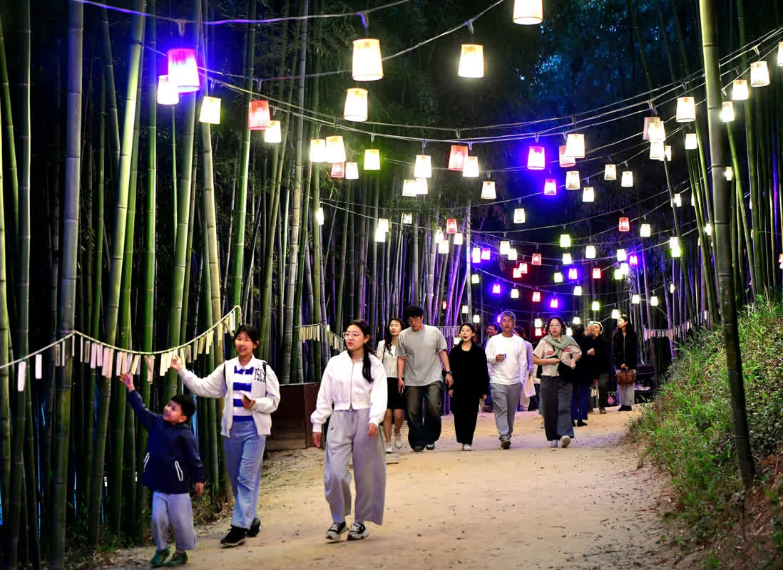 竹林の映画館が社会現象に？韓国・潭陽の竹祭りが地域経済を救う驚きの仕掛けとは