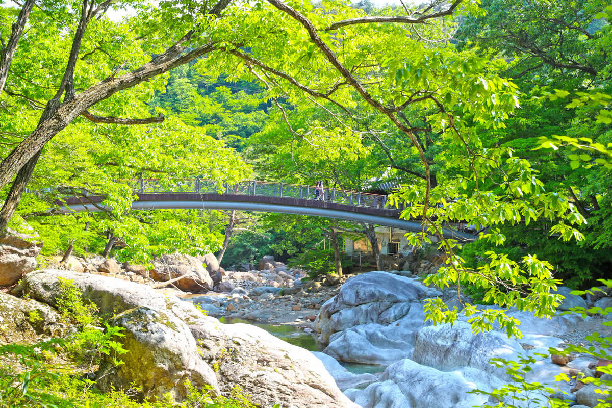 心と体を癒す！山清の自然散策コース