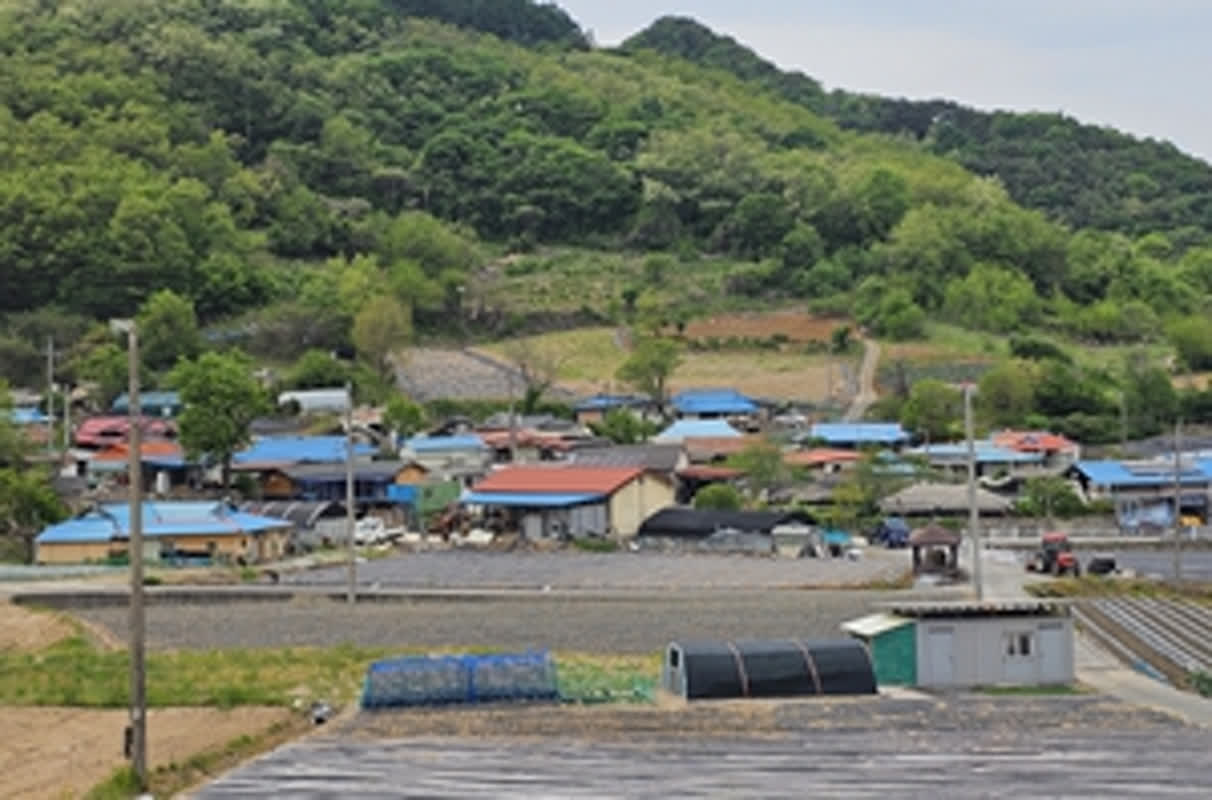 How 6-Hour Grocery Trips Highlight the Crisis of Food Deserts in South Korea’s Declining Rural Areas