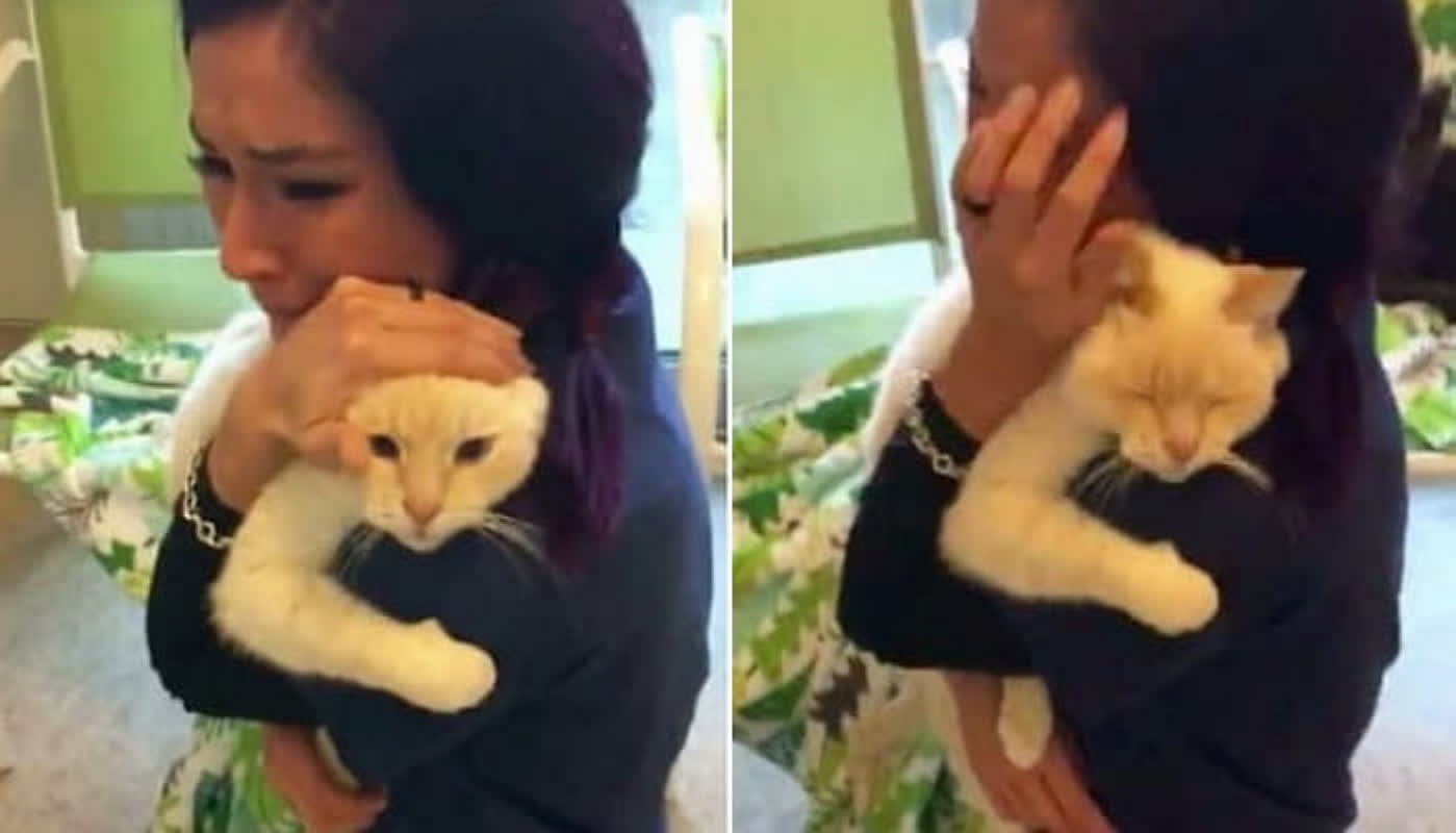 The Miraculous Reunion: How Iris Samaniago Found Her Lost Cat Diego After 2 Years