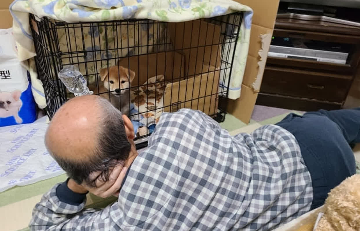 父の心をつかんだシバ犬の魅力とは？