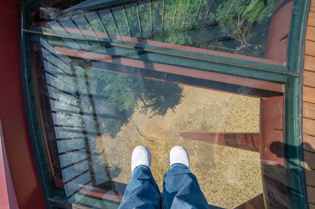 A 1,000-Foot Treetop Walk Just Opened in Incheon, South Korea
