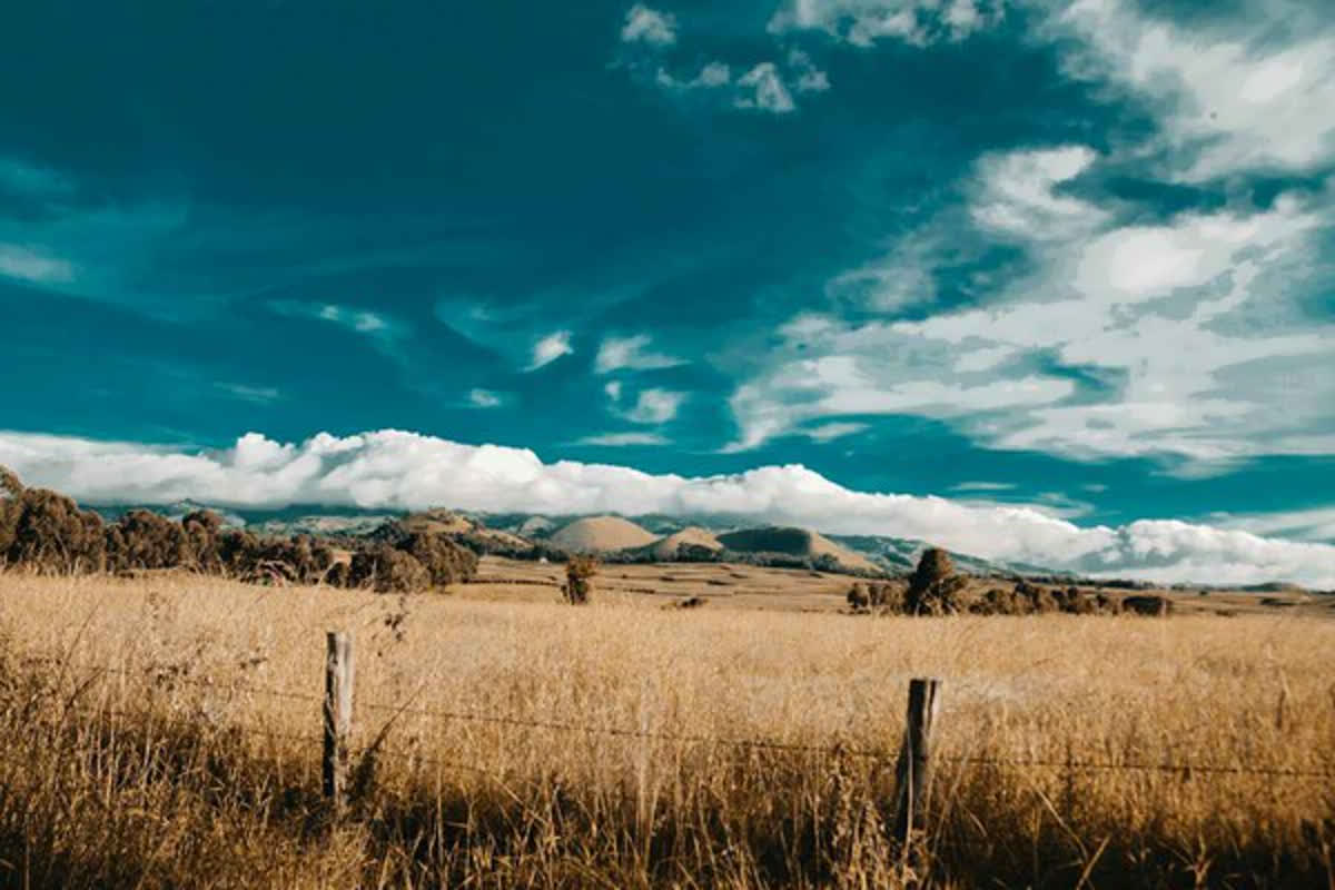 Oceania Travel Guide 2026: Explore Australia’s Great Barrier Reef and New Zealand’s Thrilling Activities