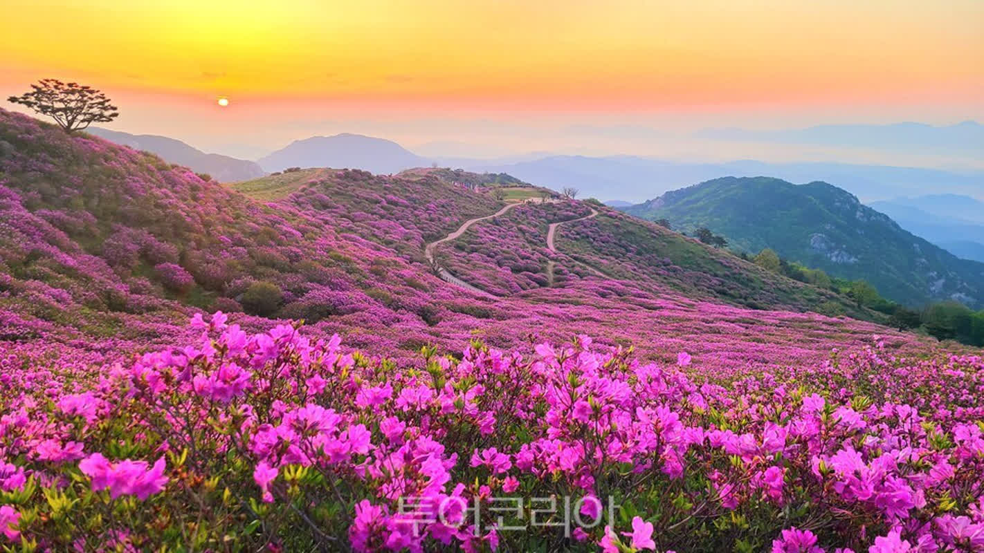 Discover the Four Seasons of Hapcheon: A Guide to Nature and Culture