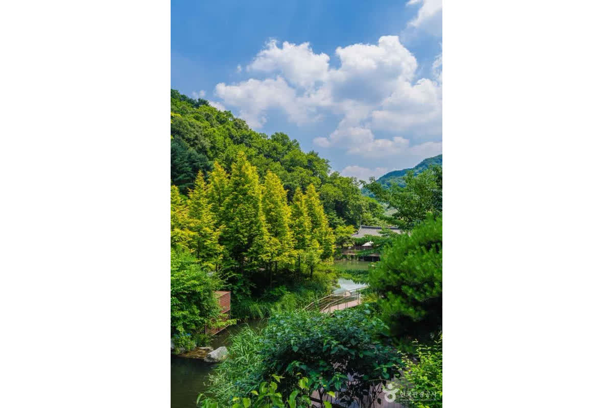 Explore Gyeonggi Gwangju: Your Ultimate Guide to Nature Getaways with Scenic Parks and Thrilling Activities