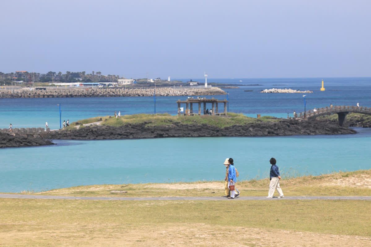 初夏の海、楽しむ人々の姿