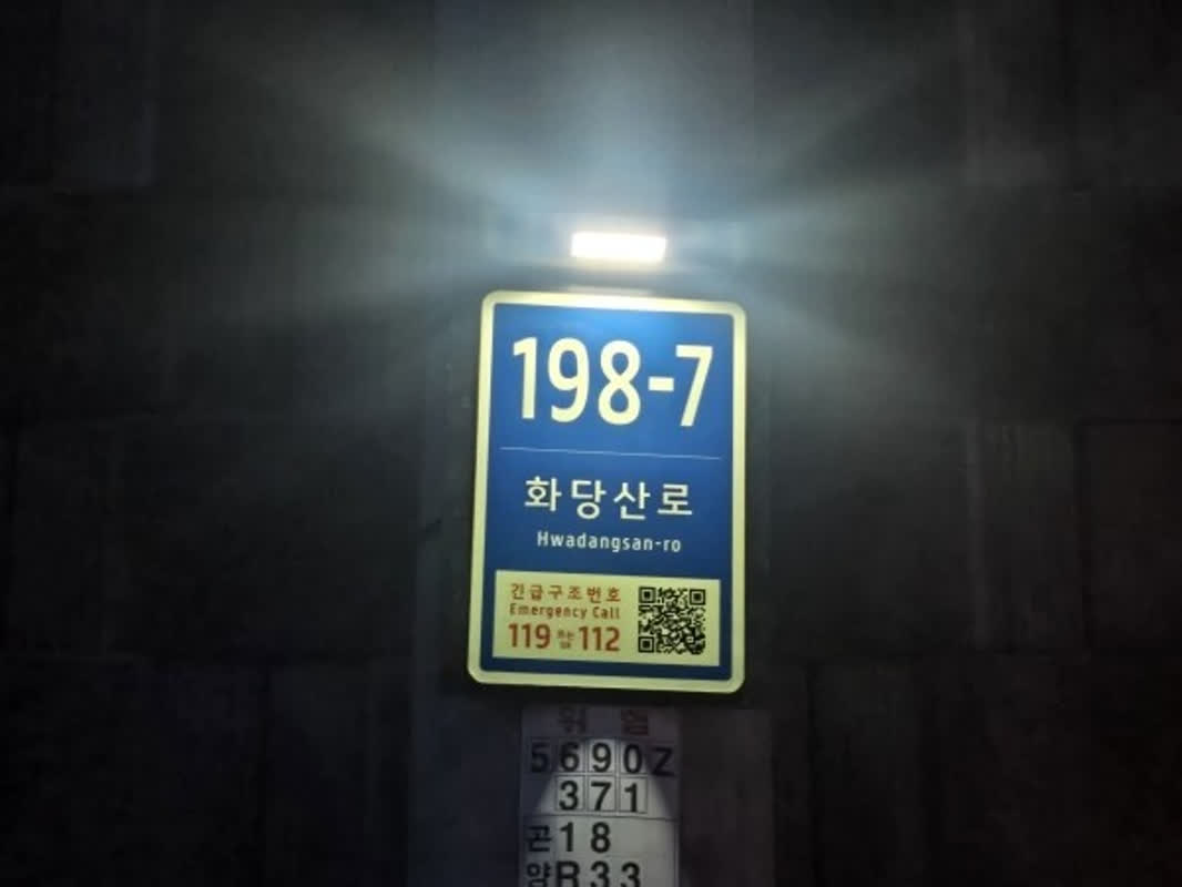 暗い夜道が劇的に変わる？韓国・サチョン市が導入した「ある新技術」の正体