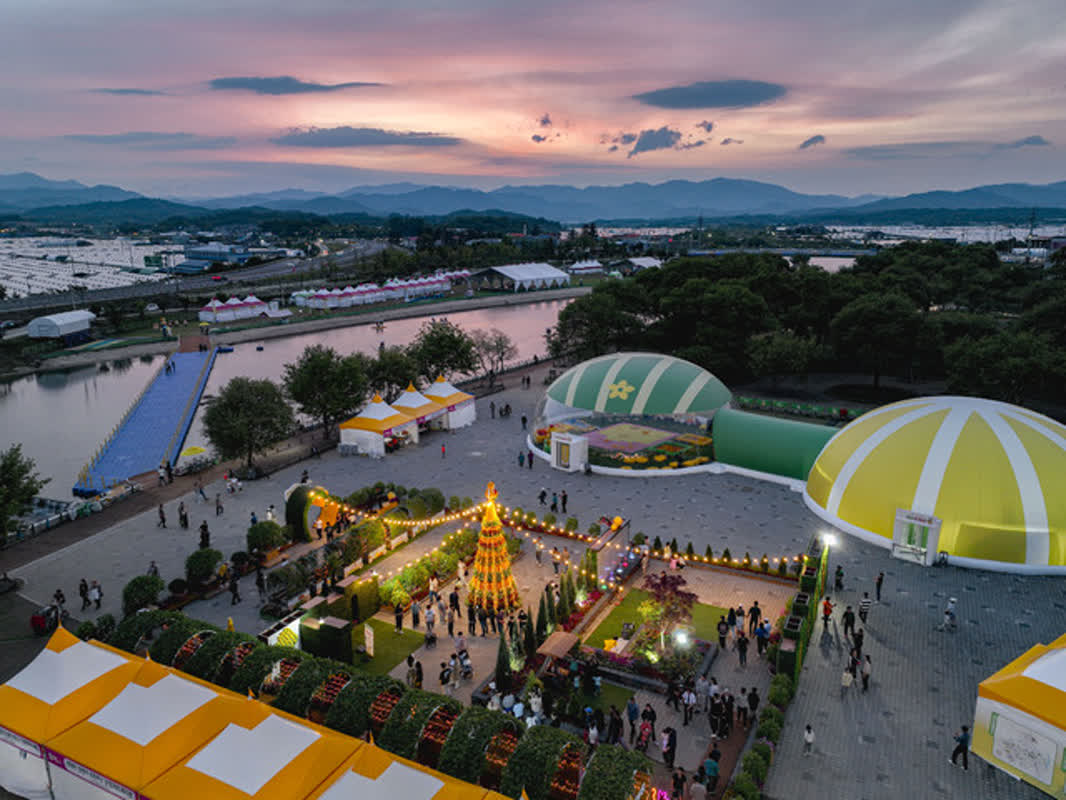ついに始まる！2026年成州の参梅祭