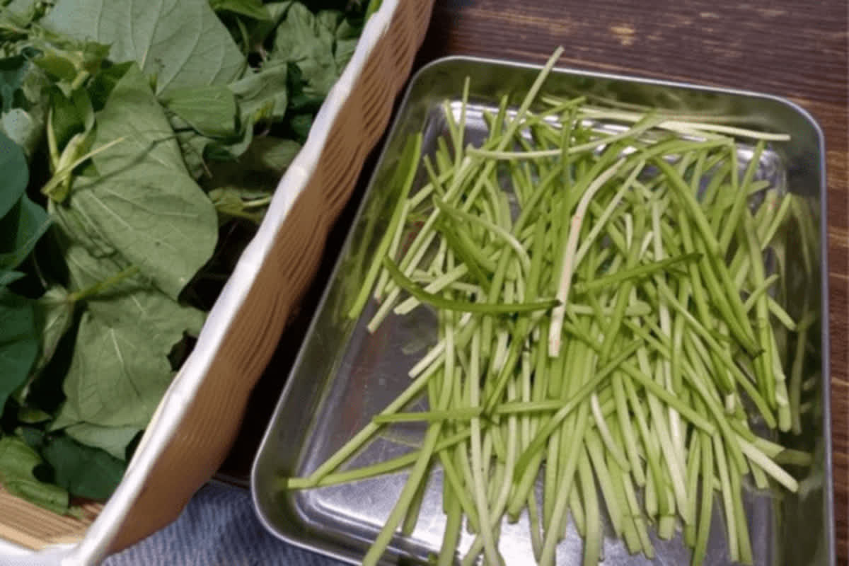 Unlock the Benefits of Sweet Potato Vines: A Simple Guide to Healthier Eating