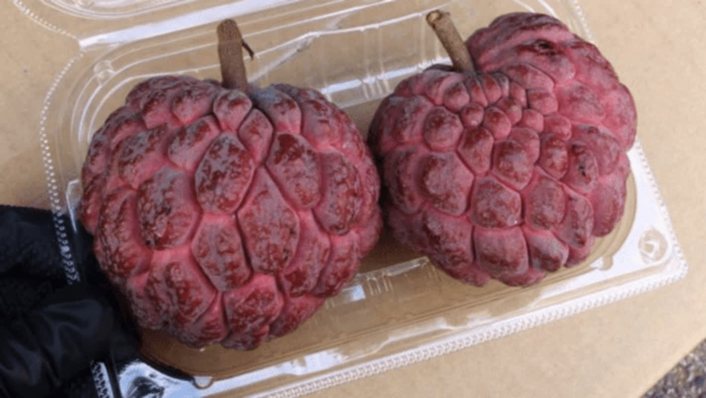 Is It a Fruit or a Dessert? Why This Viral ‘Sugar Apple’ Is Taking Over
