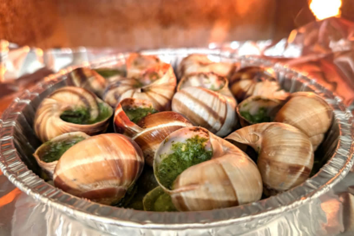 Can Eating Snails Boost Your Health? Discover the Surprising Benefits and Risks