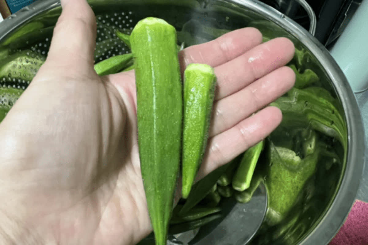 日本の朝食に欠かせないオクラの秘密とは？
