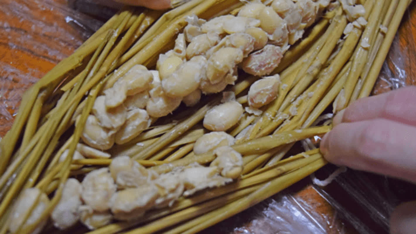 Natto vs. Cheonggukjang: Which Fermented Superfood Wins for Your Health?