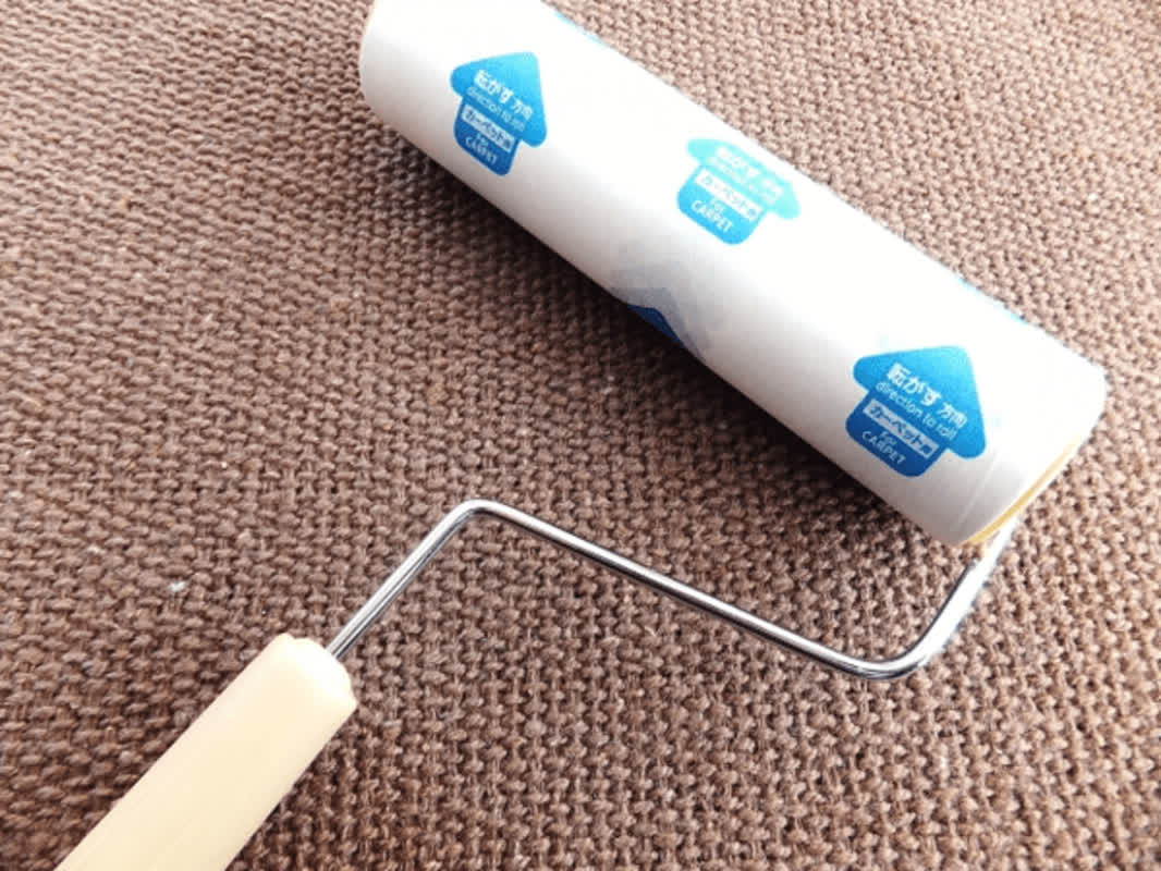 Forget Lint Rollers: This Fabric Softener Hack Destroys Pet Hair