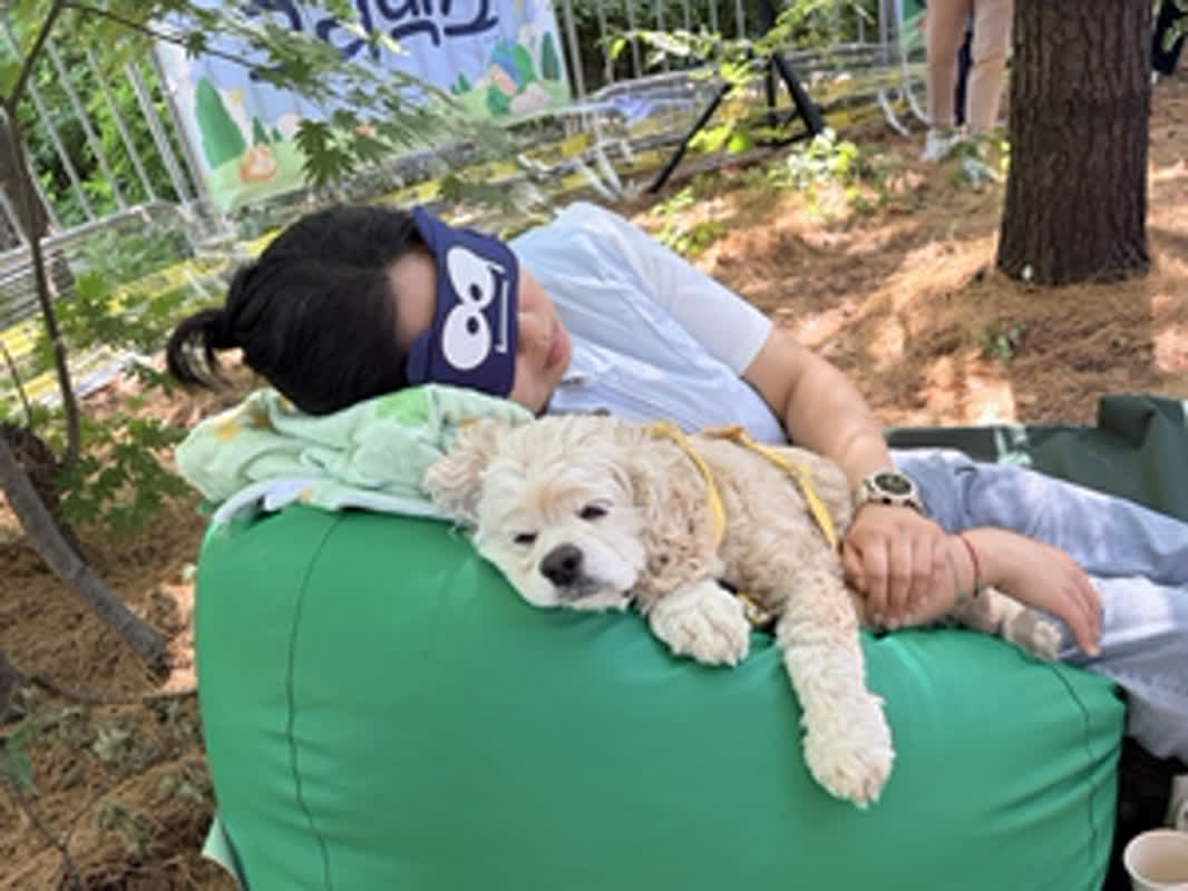 倍率は38倍！韓国で話題の「愛犬と一緒に熟睡する大会」とは？ストレス指数で順位を競う驚きのルール