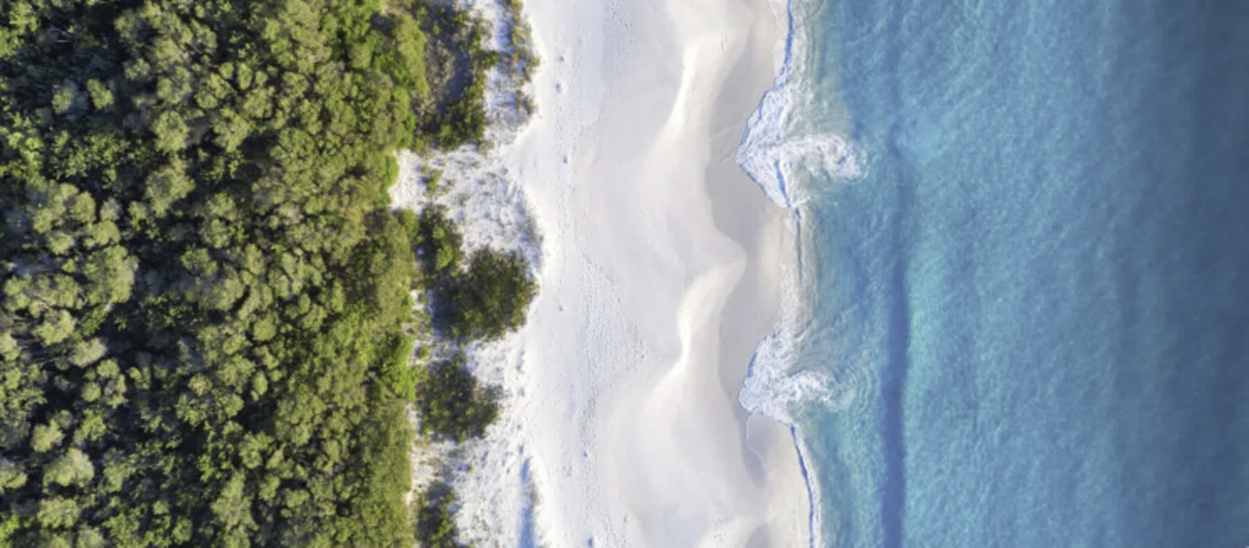 Jervis Bay Travel Guide: Top Activities and Breathtaking Beaches You Can’t Miss!