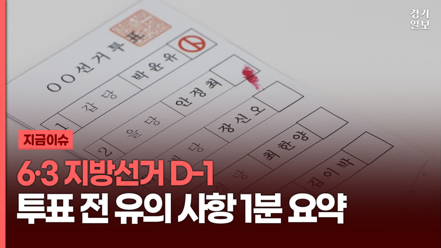 ペット同伴はOK？韓国の地方選挙で絶対注意すべき「身分証」と「撮影ルール」の真相